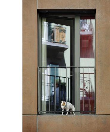 rmb_franz.fenster.jpg